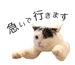 352330419