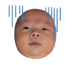 352337737