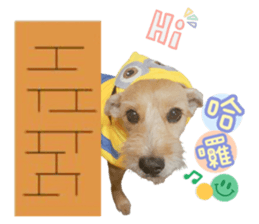 352355499