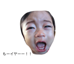 35236752