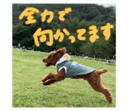 352376504