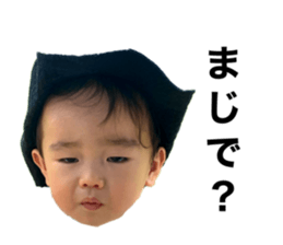 352394209