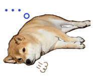 352396670