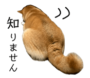 352396671
