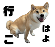 352396672