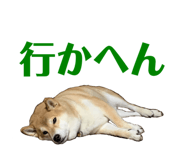 352396673