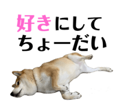 352396674