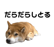 352396675
