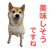 352396676