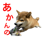 352396677