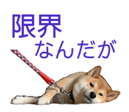 352396678