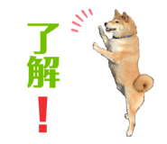 352396679