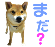 352396680