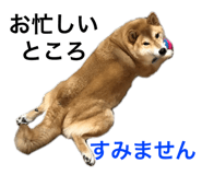 352396681
