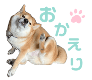 352396684
