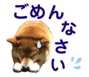 352396686