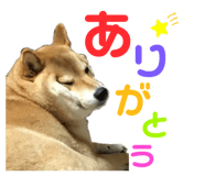 352396687