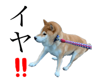 352396690