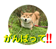 352396691