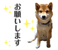 352396692