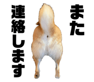 352396694