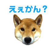 352396696