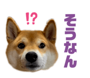 352396697