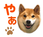 352396699
