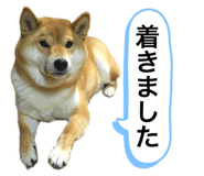 352396703