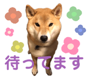 352396705