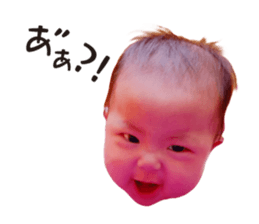 352411846