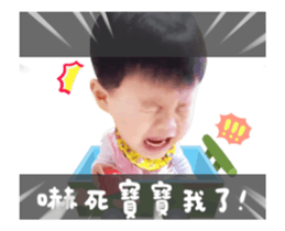 352427731