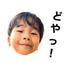 352454262
