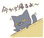352455135