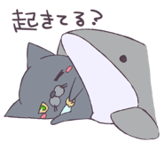 352455141