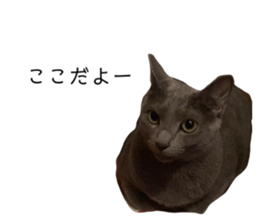 352493287