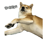 352495145