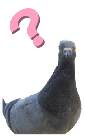 From Pigeon2 Big Yabe Line貼圖代購 台灣no 1 最便宜高效率的代購網