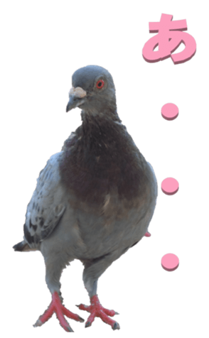 From Pigeon2 Big Yabe Line貼圖代購 台灣no 1 最便宜高效率的代購網