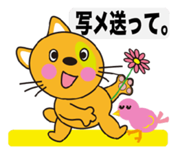 3524978