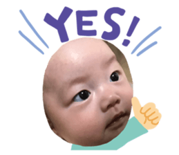 352505593