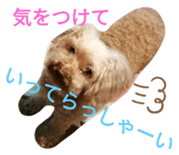 352527711