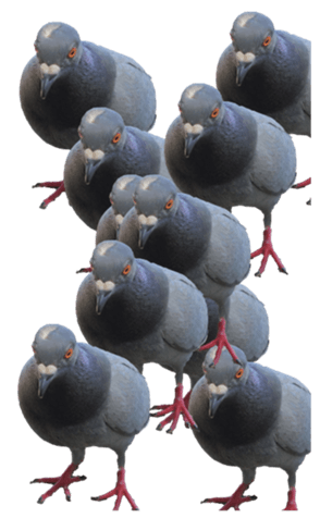 Pigeon Without Wording2 Big Yabe Line貼圖代購 台灣no 1 最便宜高效率的代購網