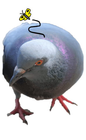 Doodle On Pigeon2 Big Yabe Line貼圖代購 台灣no 1 最便宜高效率的代購網