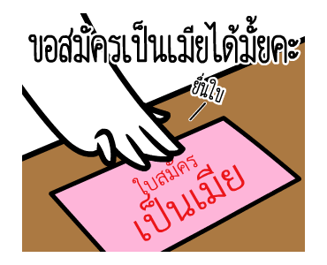 ลายที่ 23