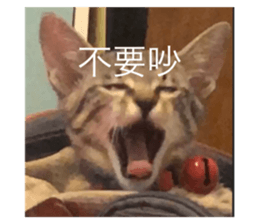 352617096