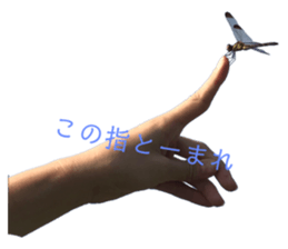 352631875