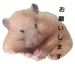 352657954
