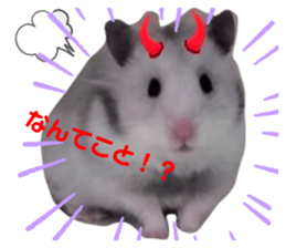 352657979