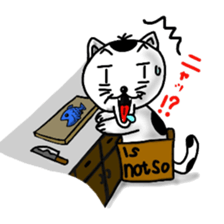 3527218